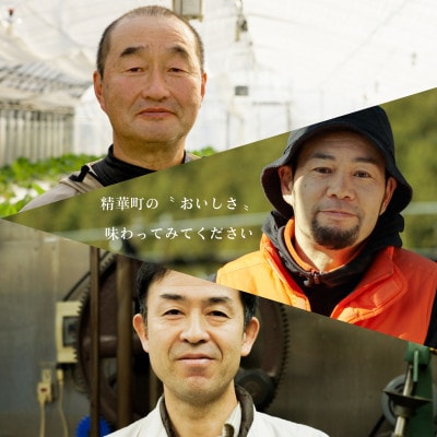 抹茶パフェ大福・パフェ大福セット 計4個 (各2個)