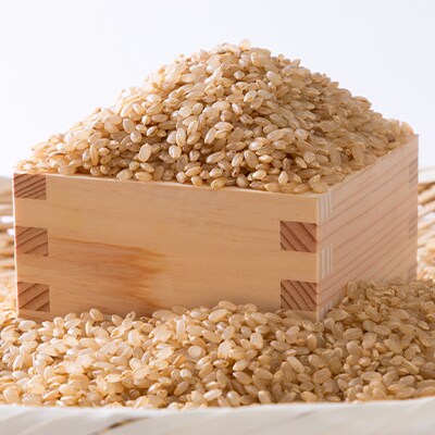 ヒノヒカリ「精華れんげの里」玄米5キロ