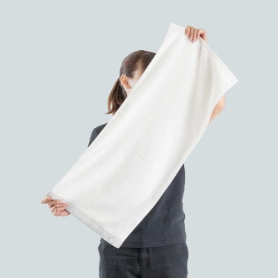 高吸水・抗菌・消臭タオル Bio Towel(フェイスタオル)　3枚セット(3Color)