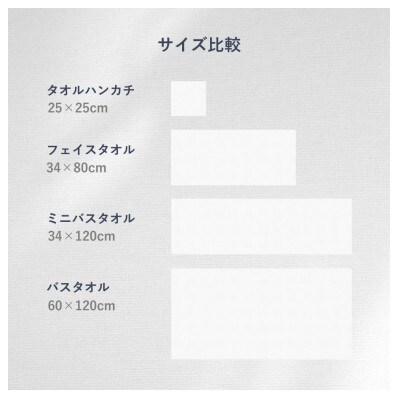 高吸水・抗菌・消臭タオル Bio Towel(フェイスタオル)　3枚セット(3Color)