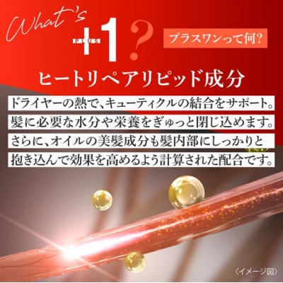 アースハート ニジュウニユ プラスワン ヘアオイル 60ml