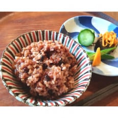 酵素玄米ご飯 16個パック(長岡式) | ふるさと納税のお礼品