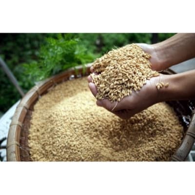 酵素玄米ご飯8個パック(長岡式)