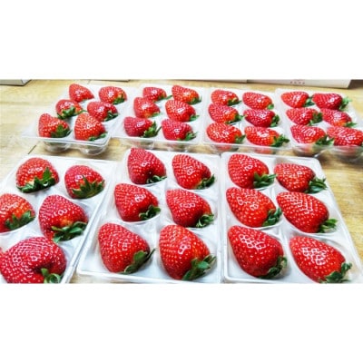 平群の古都華 冷凍いちご ミックスサイズ 約1kg