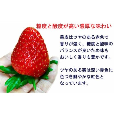 平群の古都華 冷凍いちご ミックスサイズ 約1kg