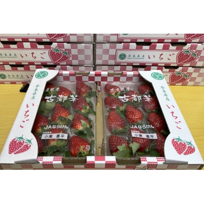 奈良県産いちご　「平群の古都華」L～3Lサイズ(2パック×1ケース)　1月上旬から順次発送