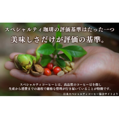 厳選珈琲 200g1種+ドリップ5パック入り