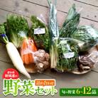 新城産の野菜詰め合わせセット