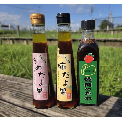 手作りドレッシングと焼肉のたれ 計700ml