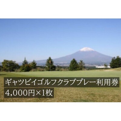 ギャツビイゴルフクラブプレー利用券　1枚