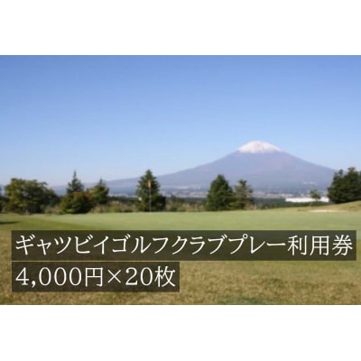 ギャツビイゴルフクラブプレー利用券　20枚