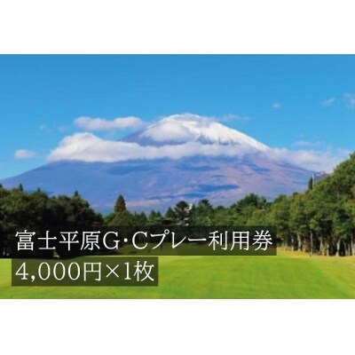 富士平原G・Cプレー利用券　1枚