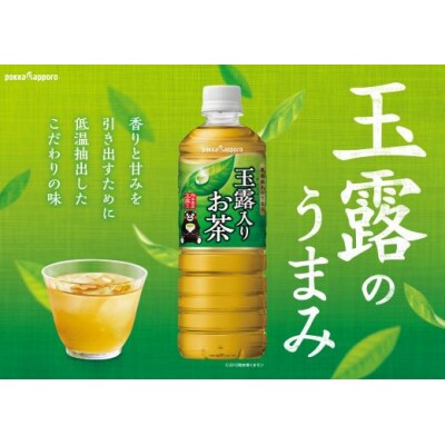 【定期便3か月コース】玉露入りお茶600ml×24本入【北海道・沖縄・離島　配送不可】×3