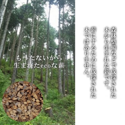 「きこりの薪」C富士山セット 針葉樹と広葉樹