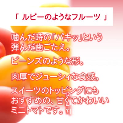 糖度10度以上 アメーラルビンズ&ルビンズゴールド 5パック入り 高糖度ミニトマト