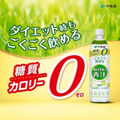【定期便】PET　ごくごく飲める毎日1杯の青汁900g×12本　全6回
