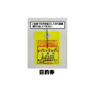 鮎沢川ニジマス冬季キャッチ&リリース「日釣券」