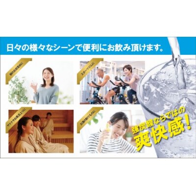 富士山の強炭酸水500ml×24本入　