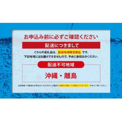 【2ケース】富士山の強炭酸水500mlラベルレス×48本入