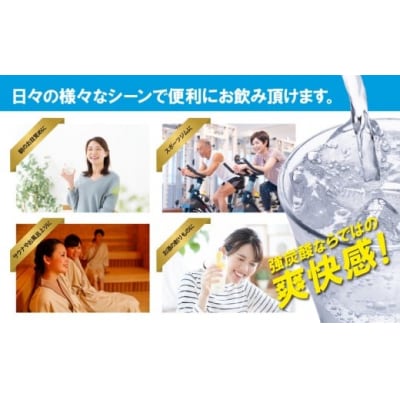 富士山の強炭酸水レモン500mlラベルレス×24本入110A4　