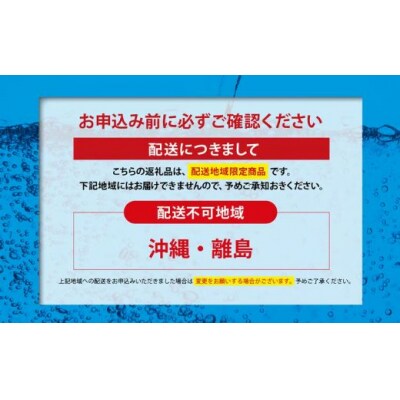 【2ケース】富士山の強炭酸水グレープフルーツ500ml×48本入11B1