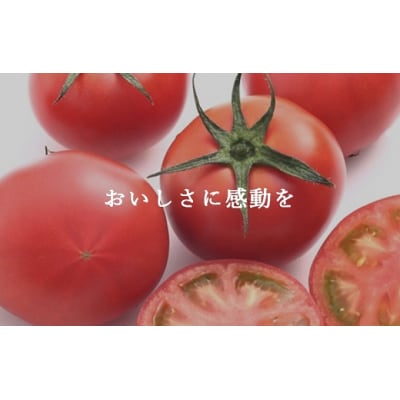 アメーラトマト　約1kg