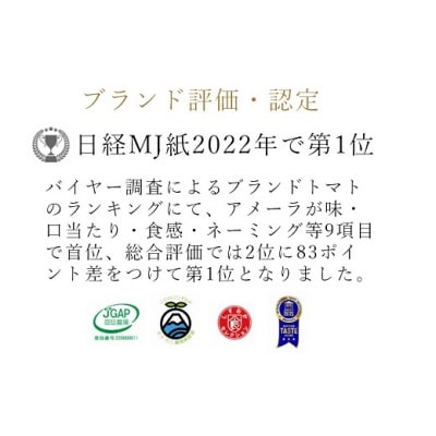 アメーラトマト　約1kg