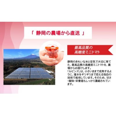 アメーラルビンズ　5パック入りB50