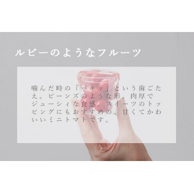 アメーラルビンズ　5パック入りB50