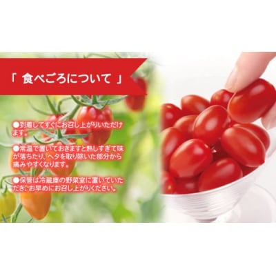 アメーラルビンズ　5パック入りB50