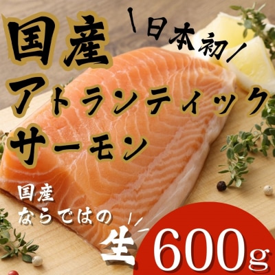 【翌月第3金曜発送】日本初!今話題の国産アトランティックサーモン【生】600g