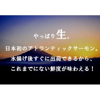 【翌月第3金曜発送】日本初!今話題の国産アトランティックサーモン【生】600g