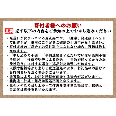 【翌月第3金曜発送】日本初!今話題の国産アトランティックサーモン【生】600g