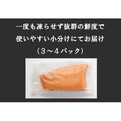 【翌月第4金曜発送】日本初!今話題の国産アトランティックサーモン【生】600g