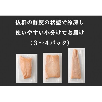 【4月25日(金)発送】日本初!今話題の国産アトランティックサーモン【冷凍】1,100g