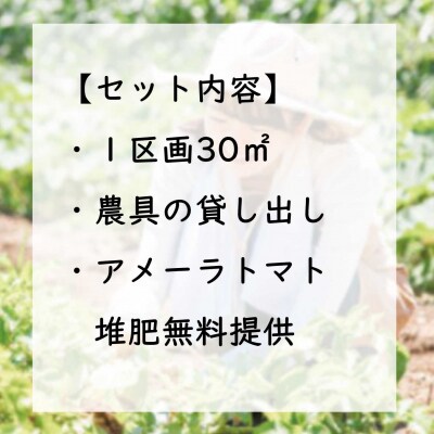 足柄ふれあい公園　体験農園　スタンダード農園プラン(12か月)