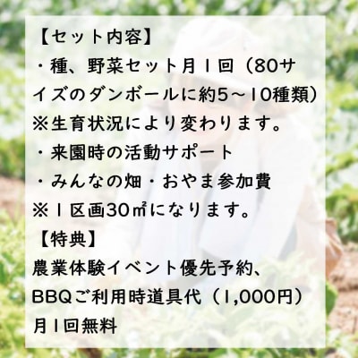 足柄ふれあい公園　体験農園　畑オーナープラン(12か月)