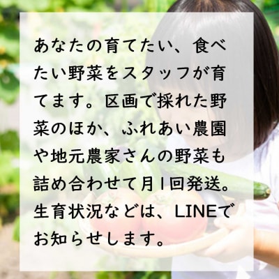 足柄ふれあい公園　体験農園　畑オーナープラン(12か月)