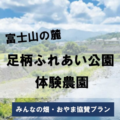足柄ふれあい公園　体験農園　みんなの畑・おやま協賛プラン