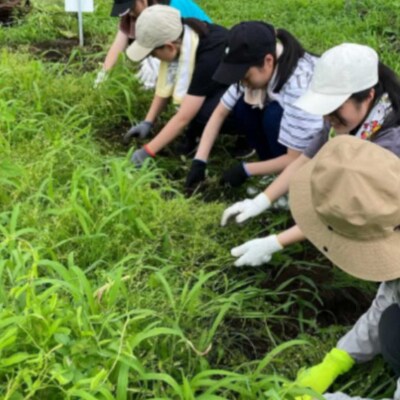 足柄ふれあい公園　体験農園　みんなの畑・おやま協賛プラン