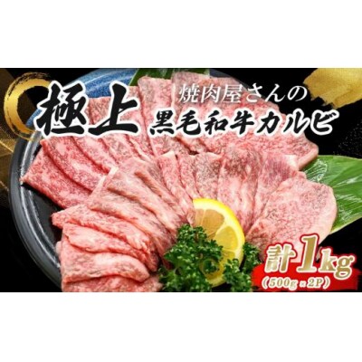 焼肉屋さんの極上黒毛和牛カルビ　特製醤油だれ漬け　500g×2パック