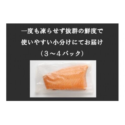 【毎週金曜発送】日本初!今話題の国産アトランティックサーモン【生】600g