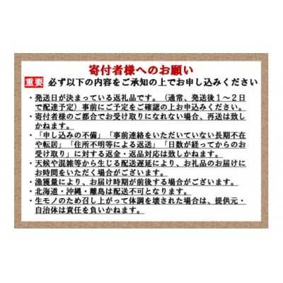 【毎週金曜発送】日本初!今話題の国産アトランティックサーモン【生】600g