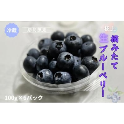 極上摘みたてブルーベリー　100g×6パック【期間限定】