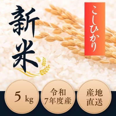 令和7年度産 新米コシヒカリ 5kg