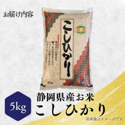 令和7年度産 新米コシヒカリ 5kg
