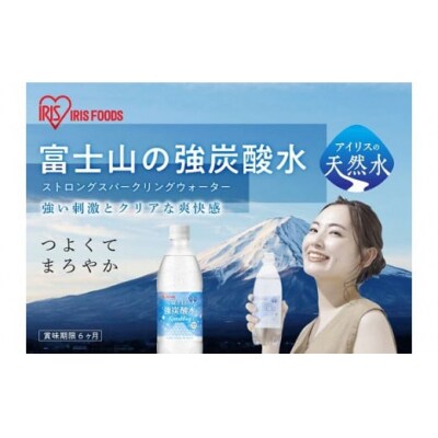 【定期便12か月コース】富士山の強炭酸水500ml×24本入×12回134L1