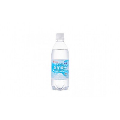 【定期便12か月コース】富士山の強炭酸水500ml×24本入×12回134L1