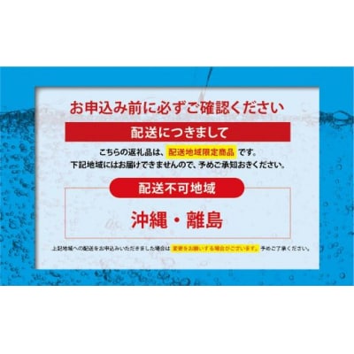 【定期便12か月コース】富士山の強炭酸水レモン500ml×24本入×12回8L1