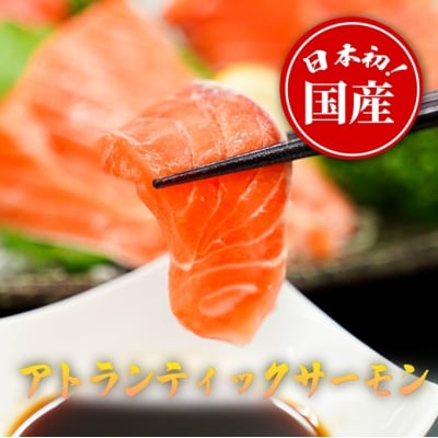 【日本初:完全陸上養殖】小山町産 アトランティックサーモン【冷凍】800g +アラ付きセット10B8